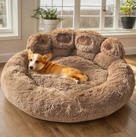 5 Conseils pour Choisir le Lit Parfait pour Votre Chien