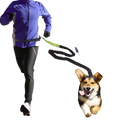 « Laisse mains libres pour chien avec ceinture ajustable - Vue principale pour course et balade »