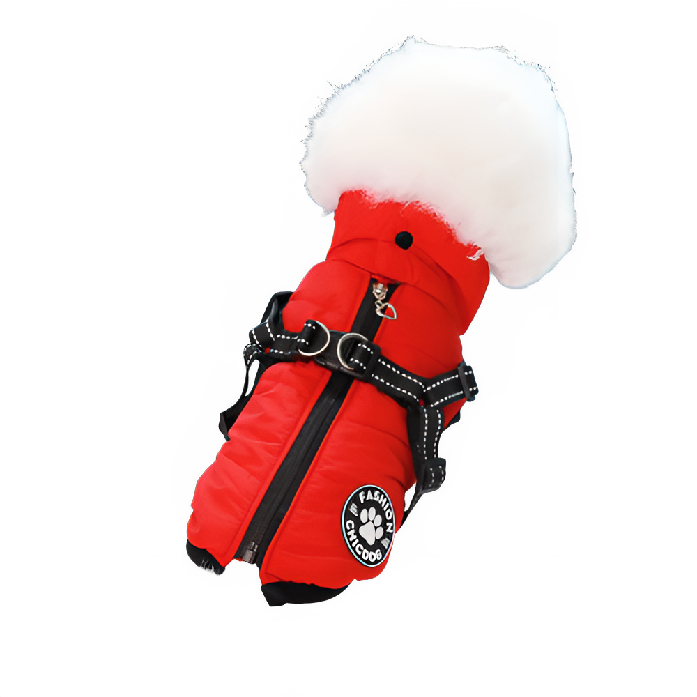Manteau chien imperméable hiver rouge