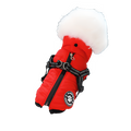 Manteau chien imperméable hiver rouge