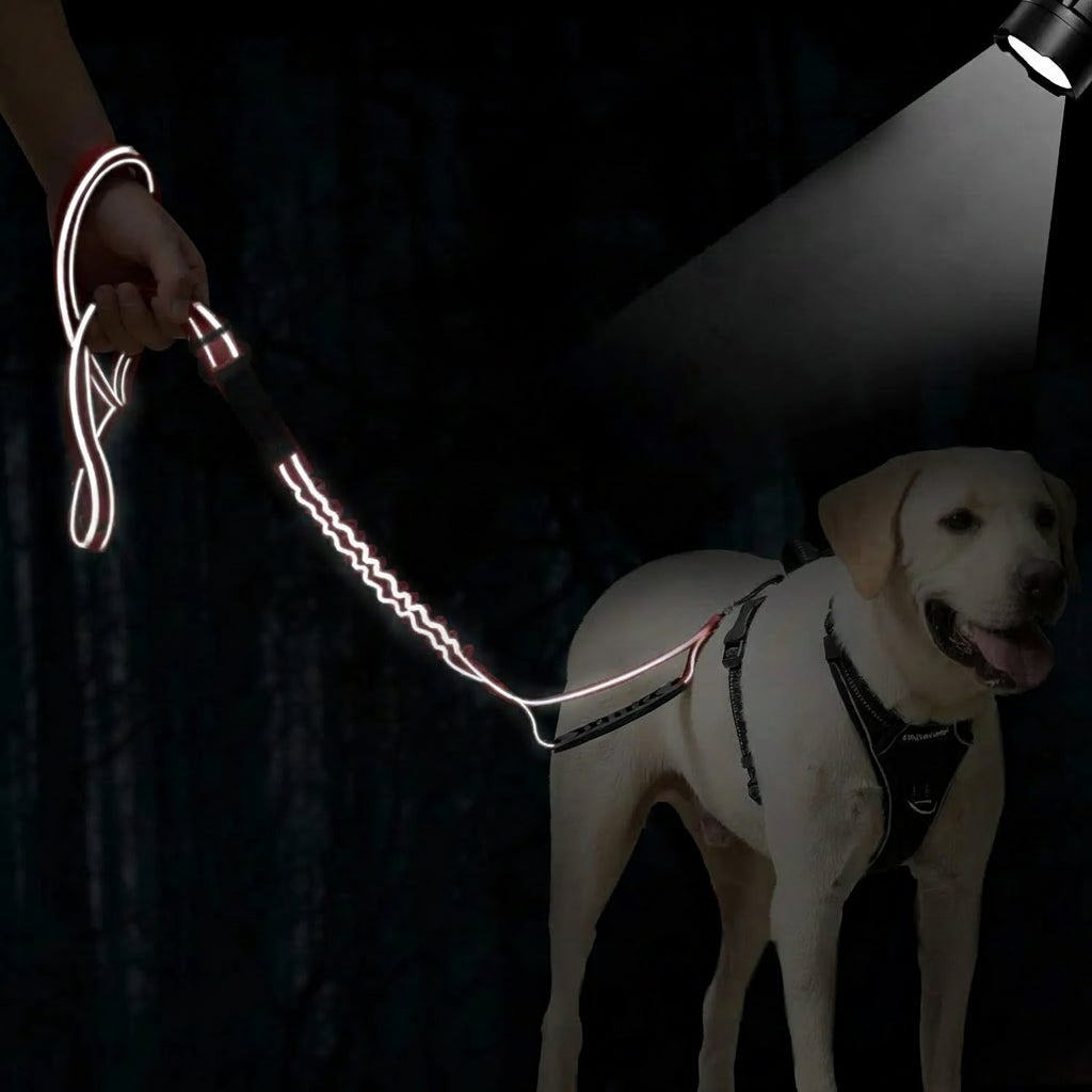 Laisse chien réfléchissante rouge - double poignée rembourrée