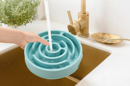  « Gamelle anti-glouton à labyrinthe pour chien et chat - Vue principale alimentation lente »