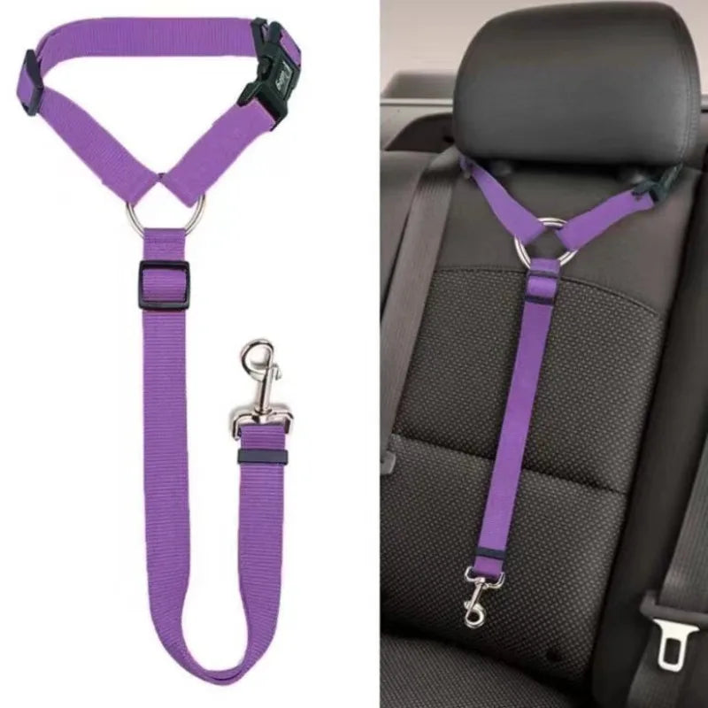  « Ceinture de sécurité pour chien couleur violette - Détails du mousqueton métallique robuste »