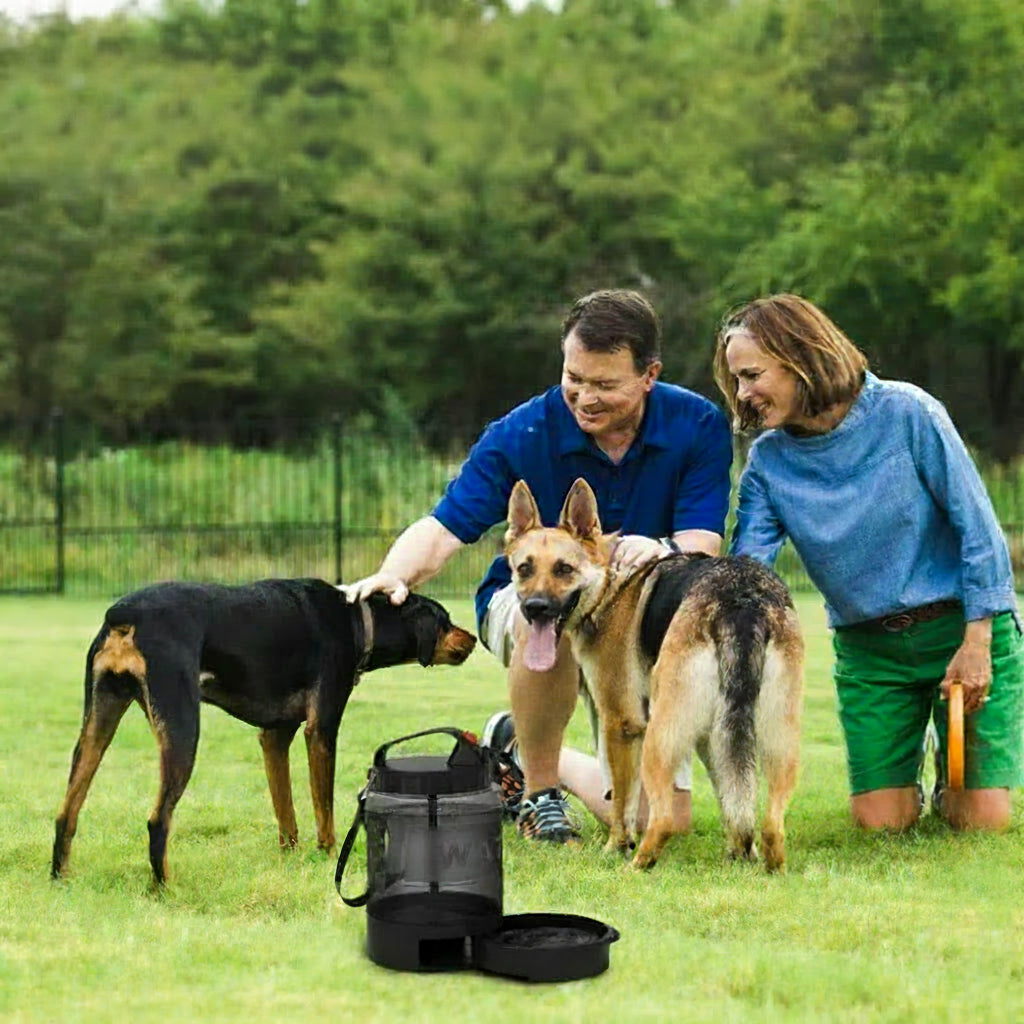 Bouteille eau chien étanche - zéro fuite garanti