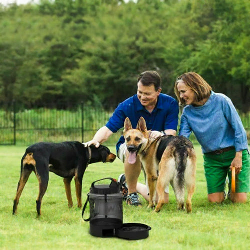 Bouteille eau chien étanche - zéro fuite garanti