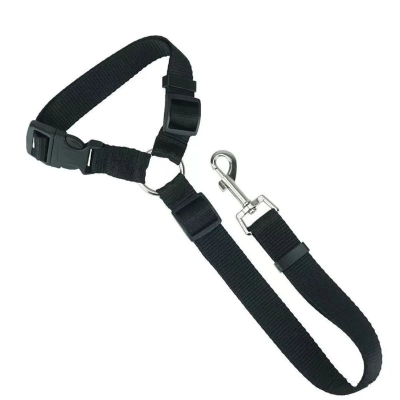 « Ceinture auto pour chien verte - Nylon haute résistance et finitions de qualité »