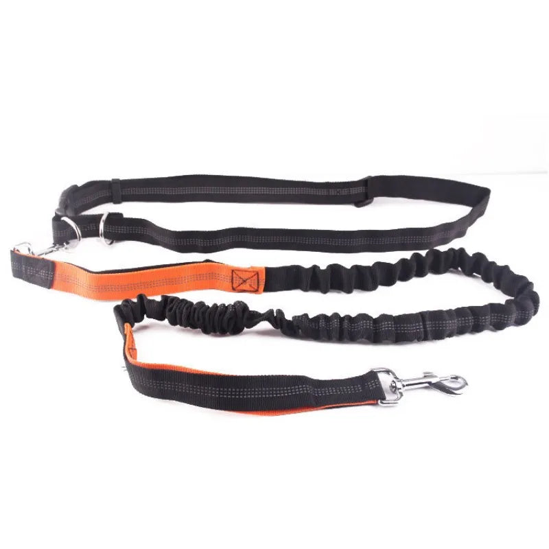 « Laisse mains libres pour chien - Personne en jogging avec chien attaché à la ceinture »