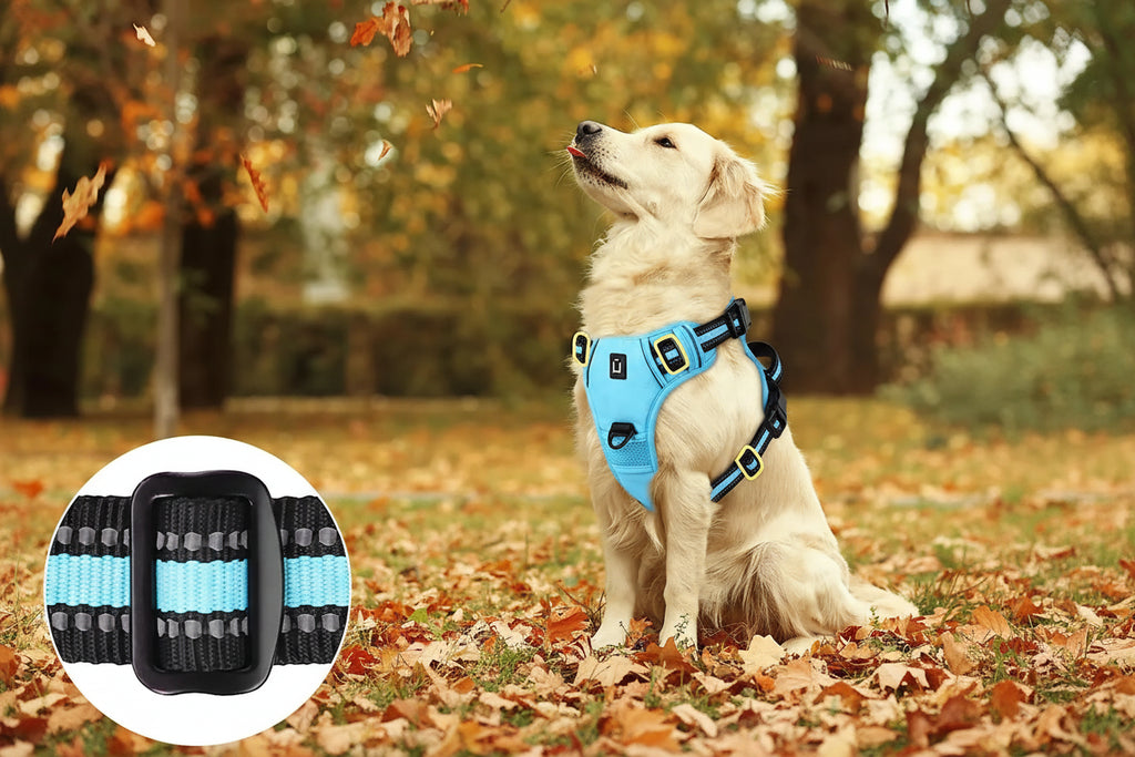 Harnais pour chien - Détails du rembourrage