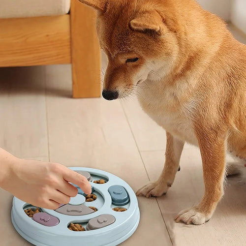 Jouet puzzle alimentaire chien bleu - stimulation mentale et alimentation lente
