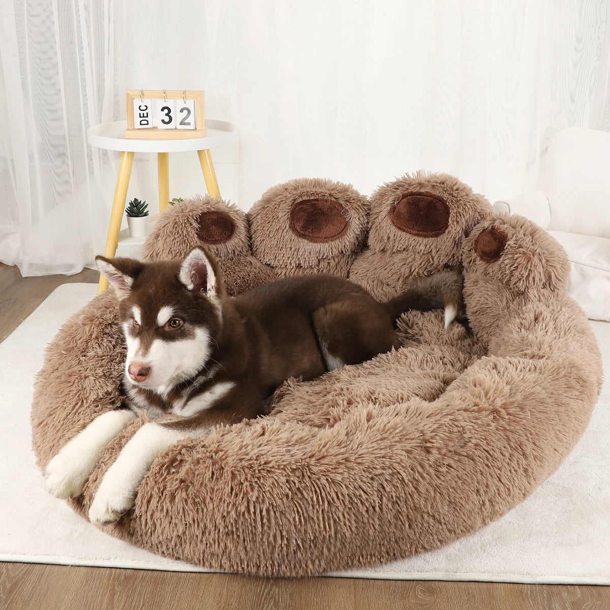 Lit moelleux pour chien - Vue principale