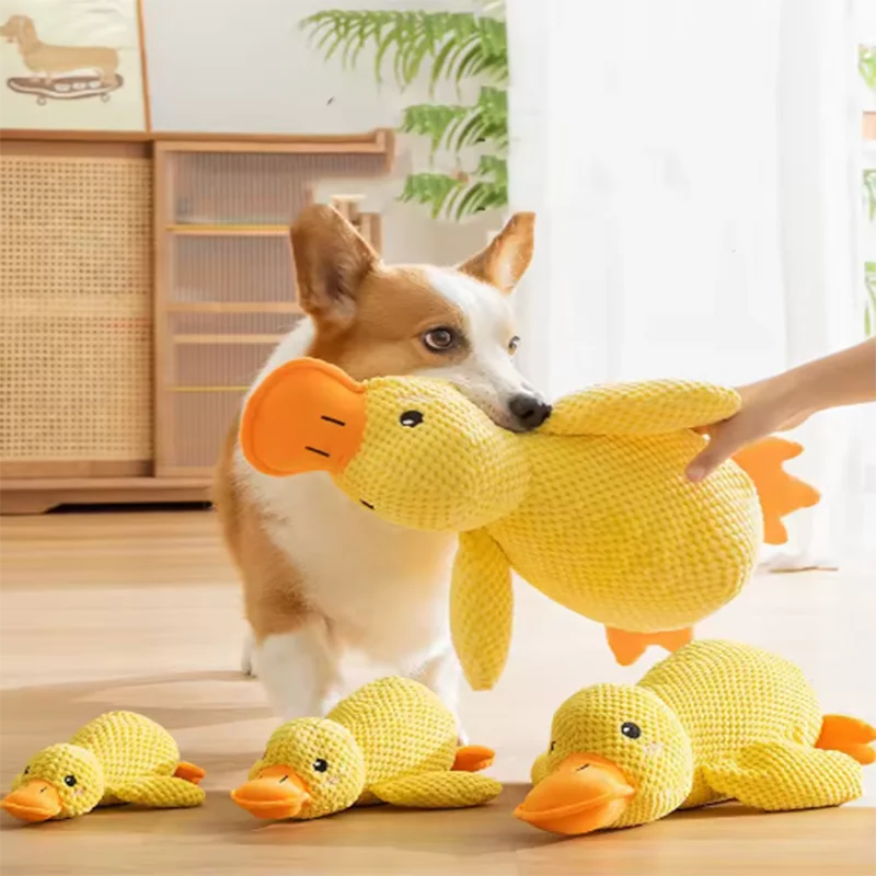 Jouet dentaire pour chien - Résistant aux morsures