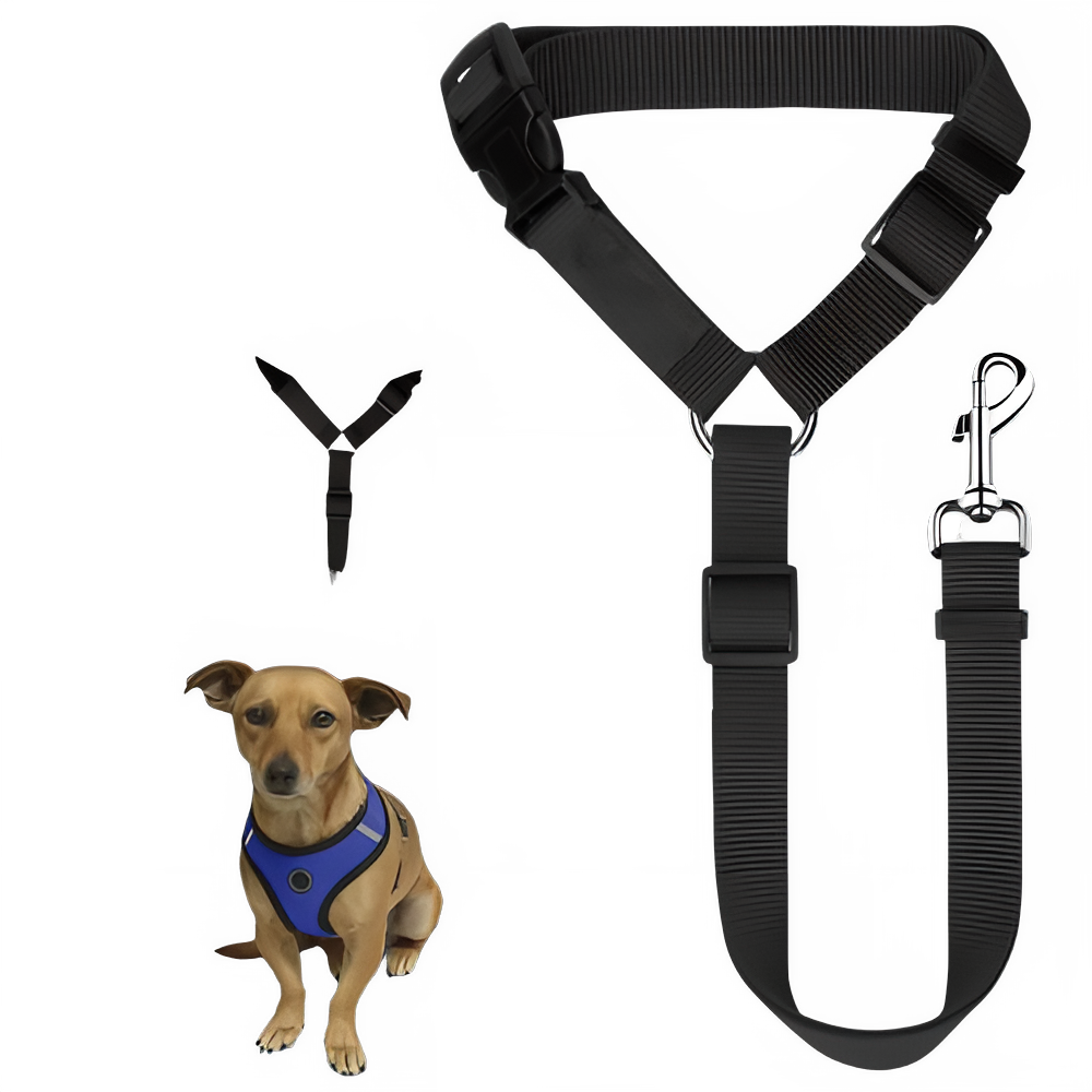« Ceinture de sécurité auto pour chien 2-en-1 - Vue principale montrant la laisse ajustable en nylon »